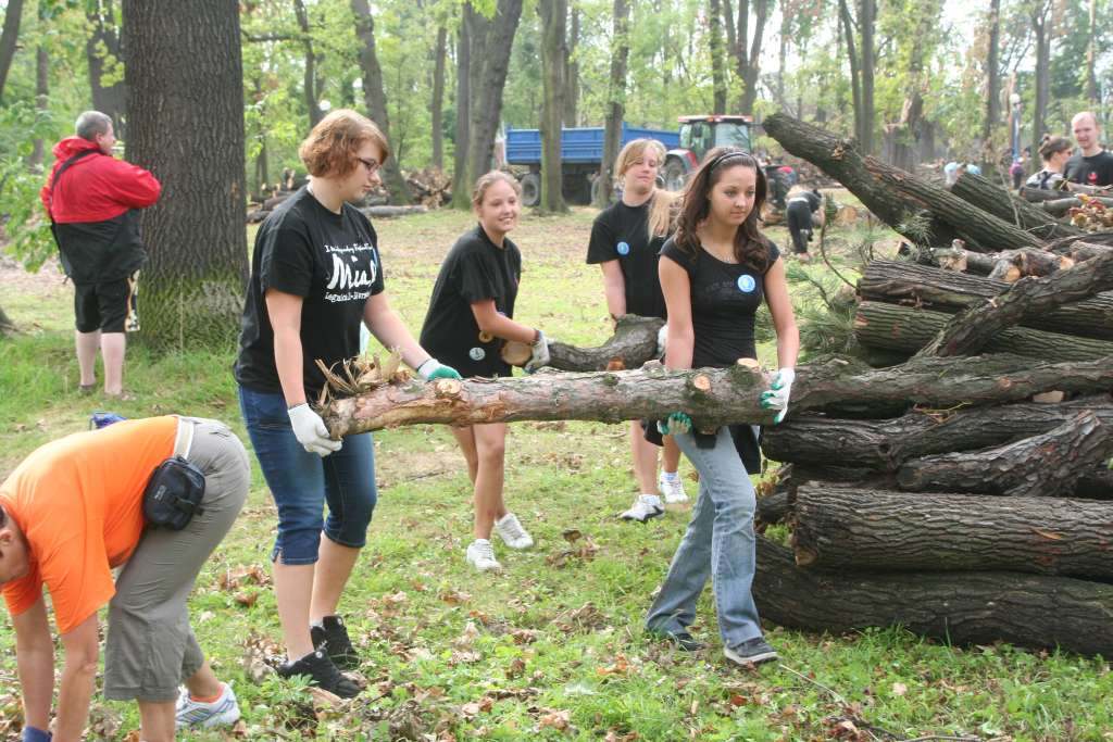 Czyn społeczny w parku