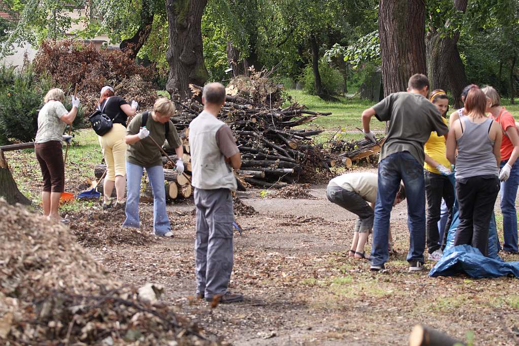 Kolejny czyn w parku
