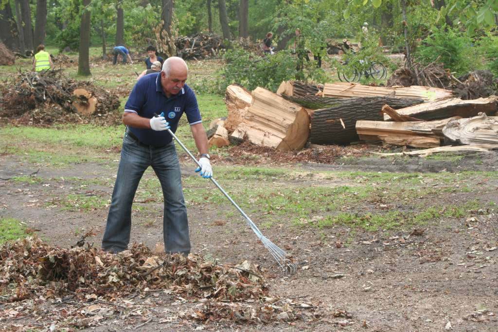 Czyn społeczny w parku