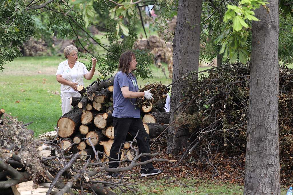 Kolejny czyn w parku