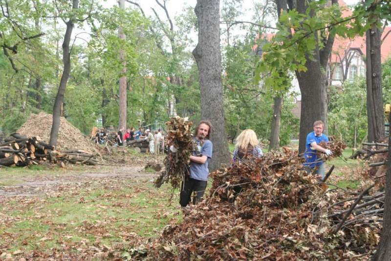 Czyn społeczny w parku