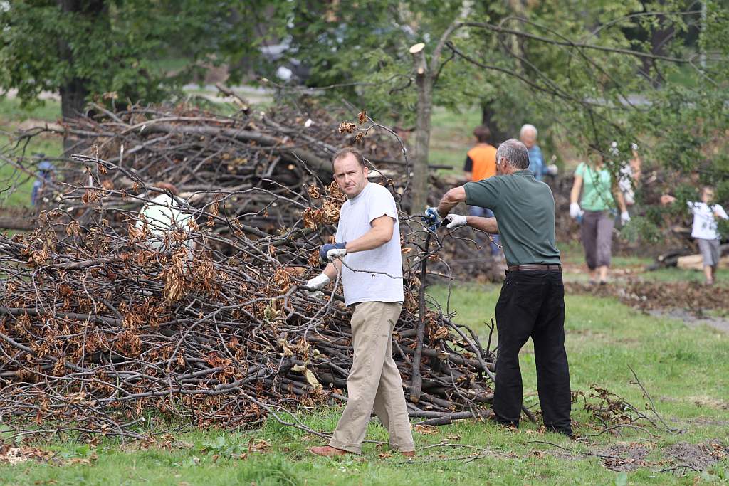 Kolejny czyn w parku