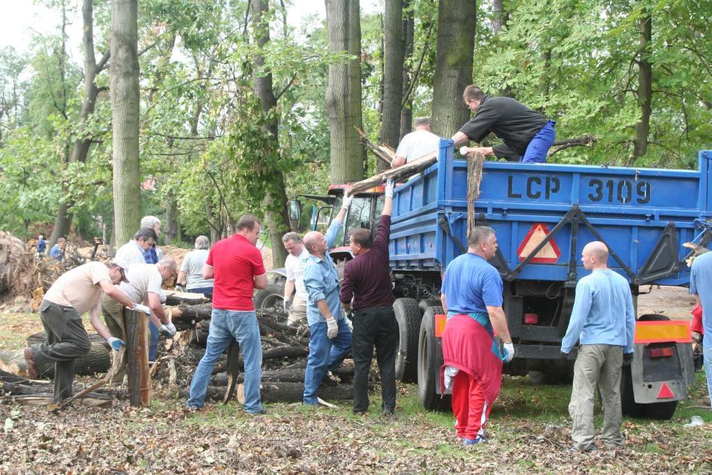 Czyn społeczny w parku