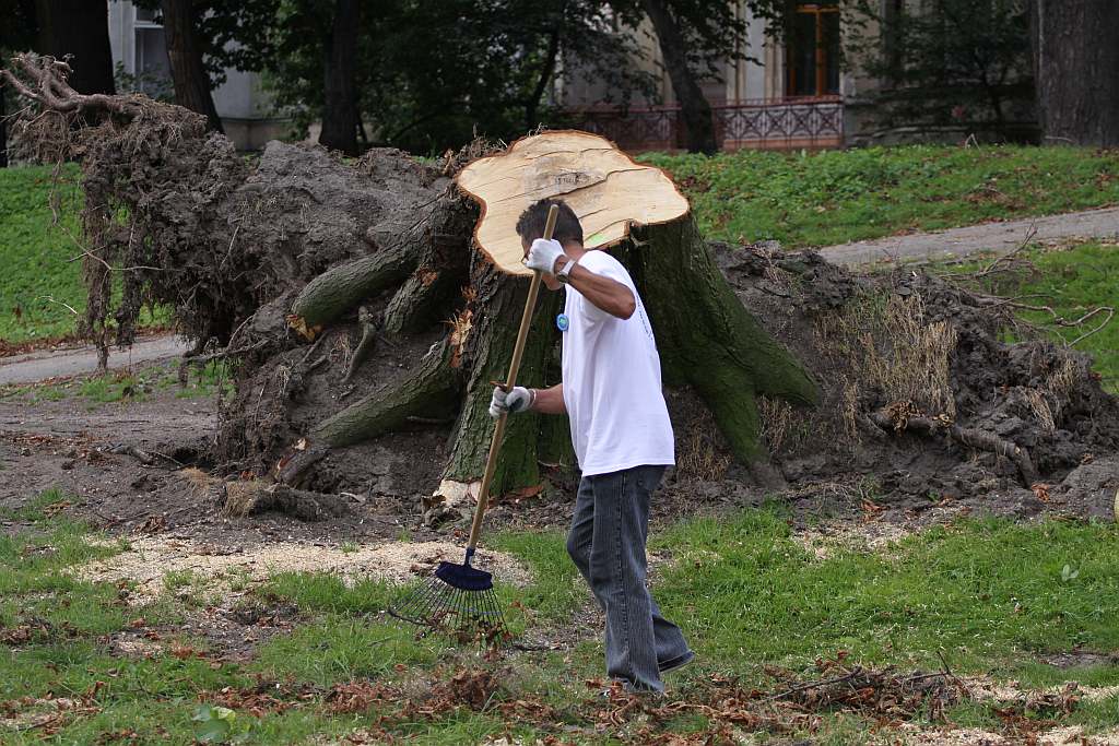 Kolejny czyn w parku