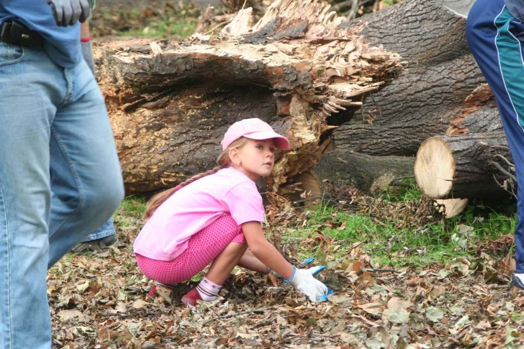 Czyn społeczny w parku