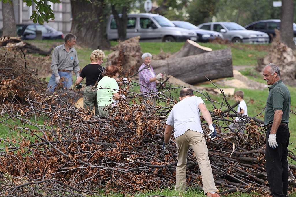 Kolejny czyn w parku