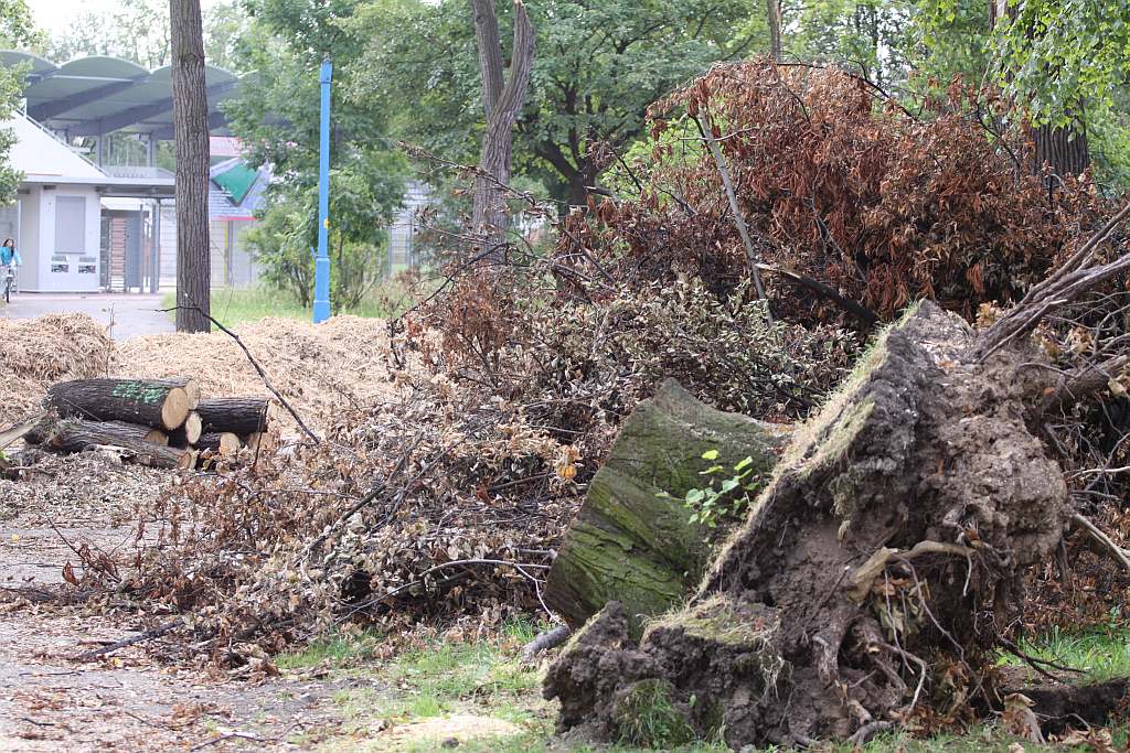 Kolejny czyn w parku