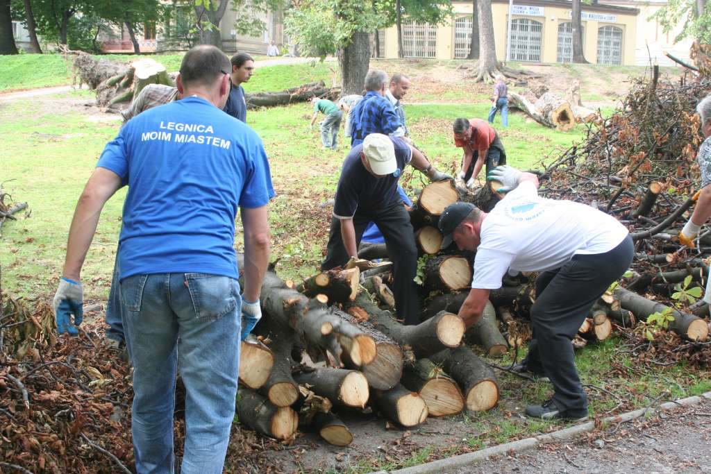 Czyn społeczny w parku