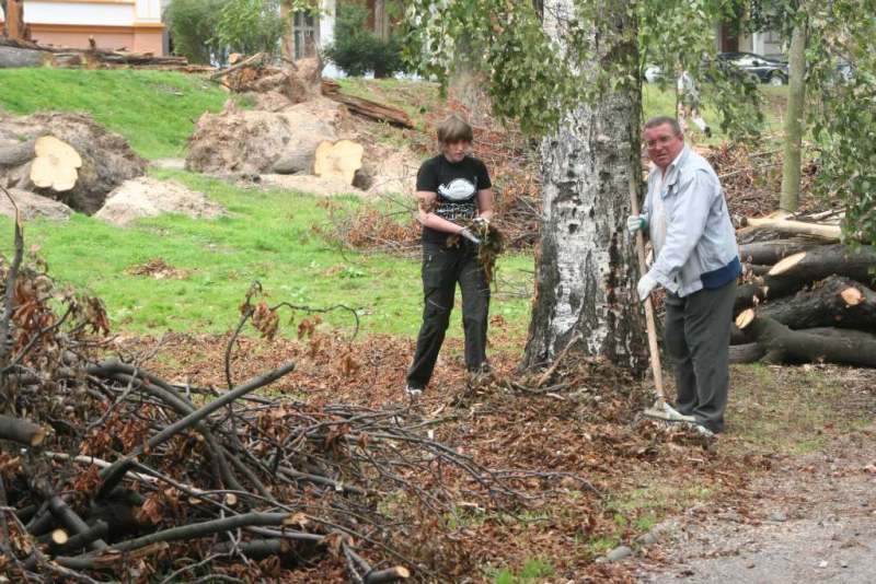 Czyn społeczny w parku