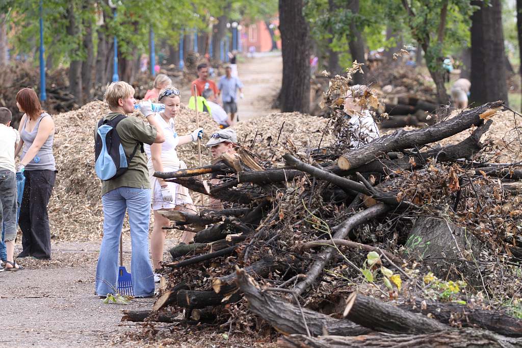 Kolejny czyn w parku