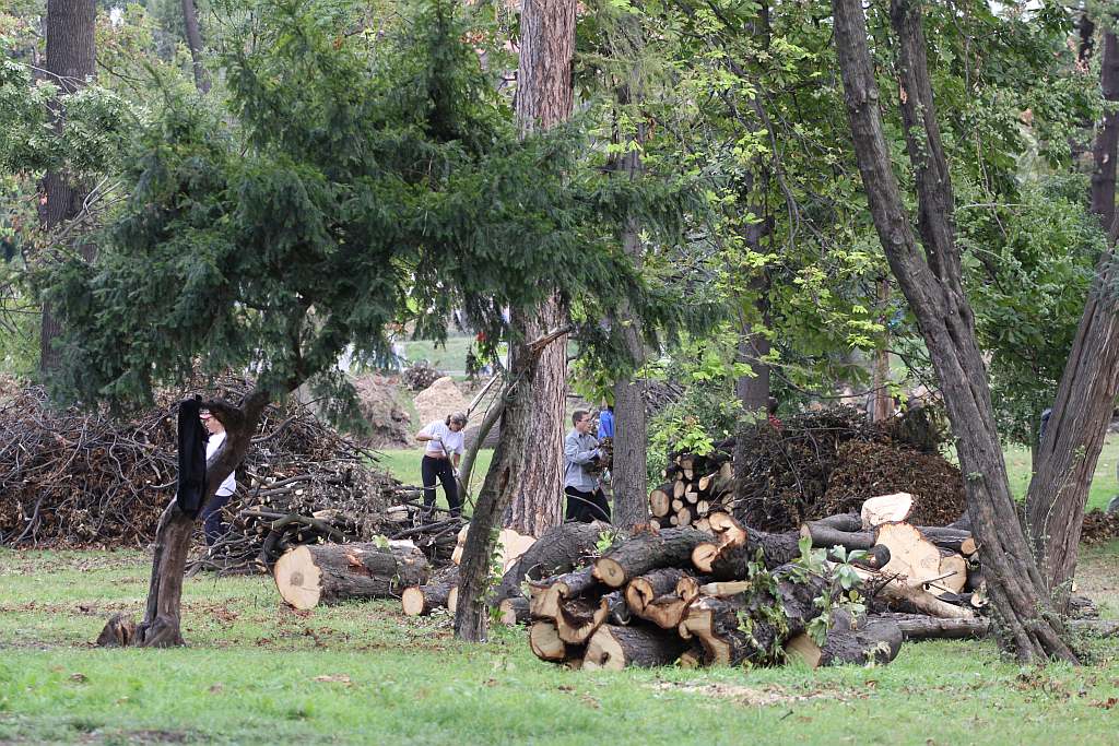Kolejny czyn w parku