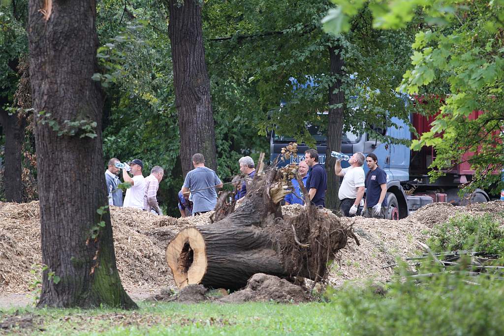 Kolejny czyn w parku