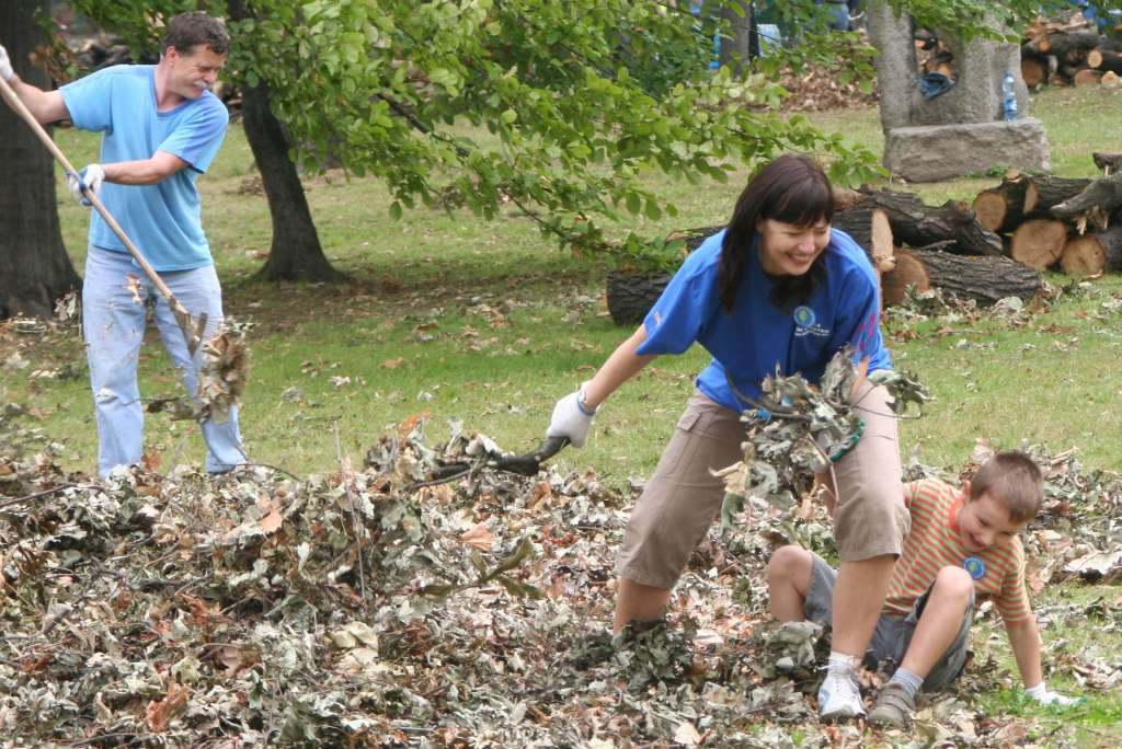 Czyn społeczny w parku