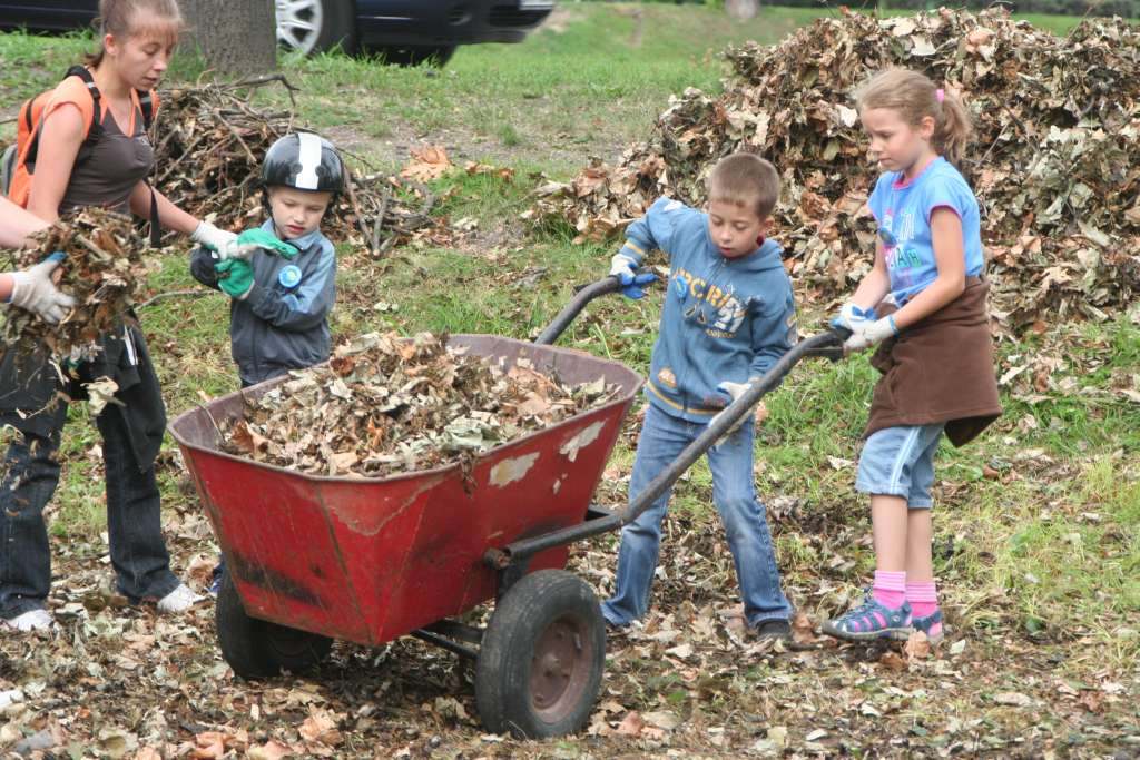 Czyn społeczny w parku