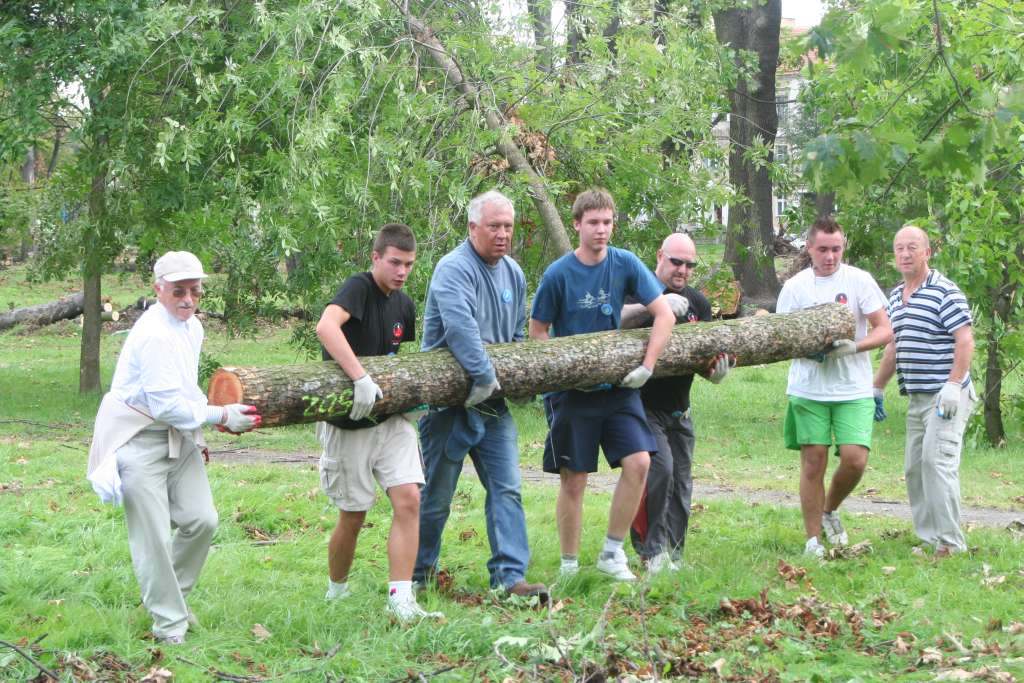 Czyn społeczny w parku
