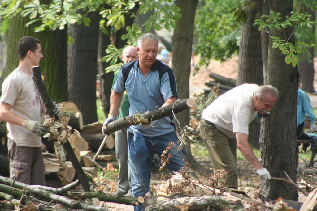 Czyn społeczny w parku