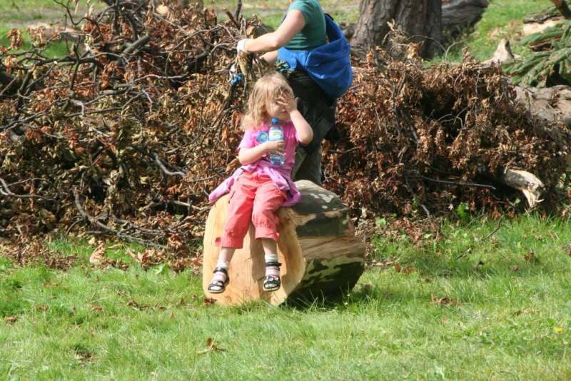 Czyn społeczny w parku