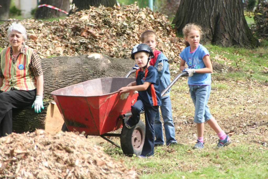 Czyn społeczny w parku