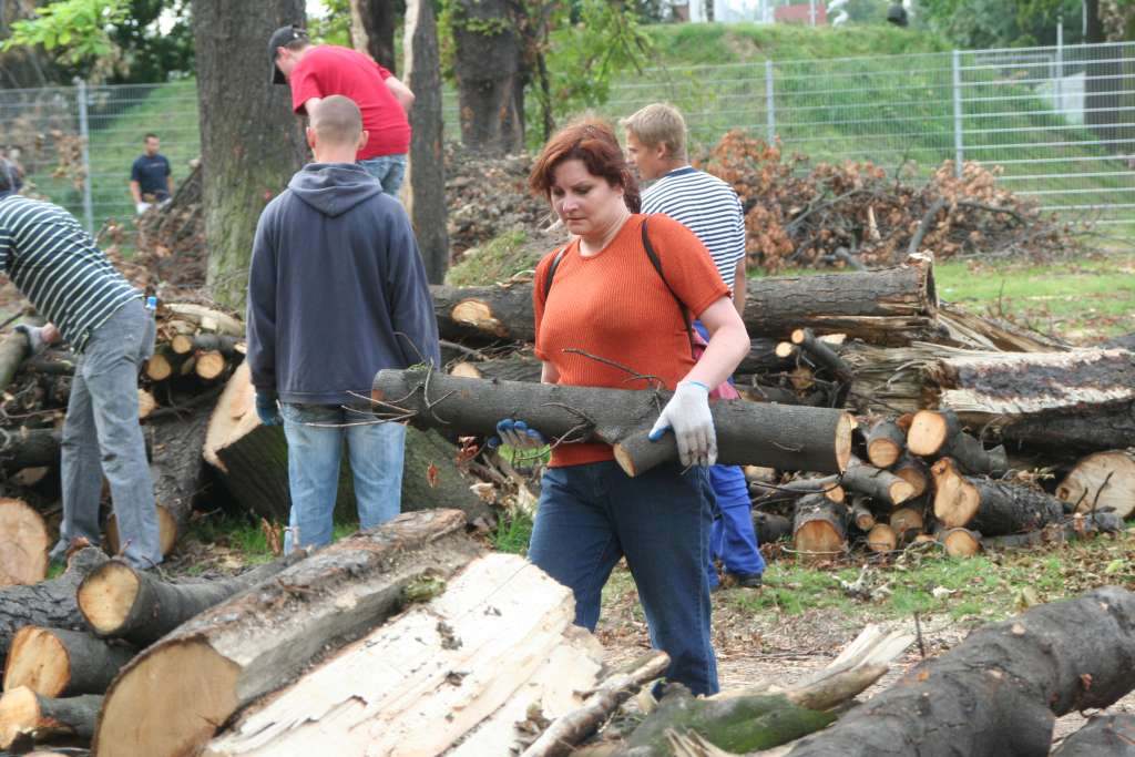Czyn społeczny w parku