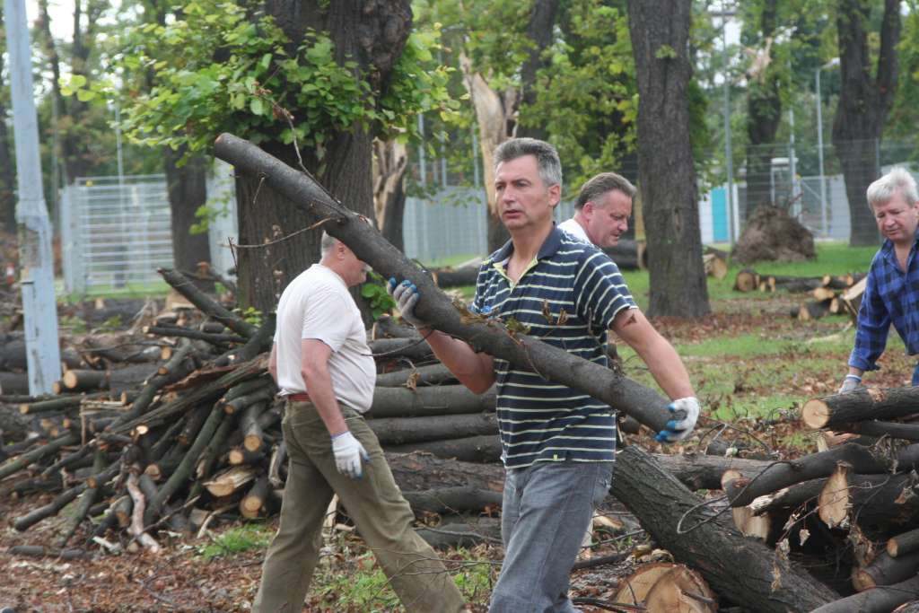 Czyn społeczny w parku