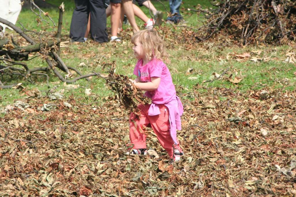 Czyn społeczny w parku