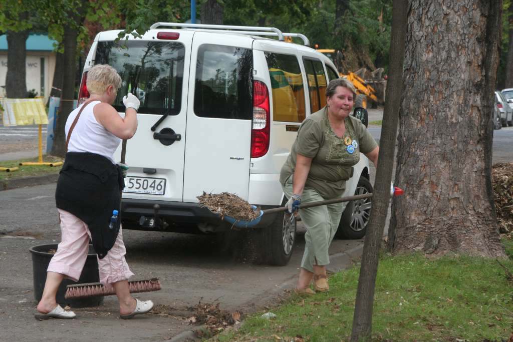 Czyn społeczny w parku