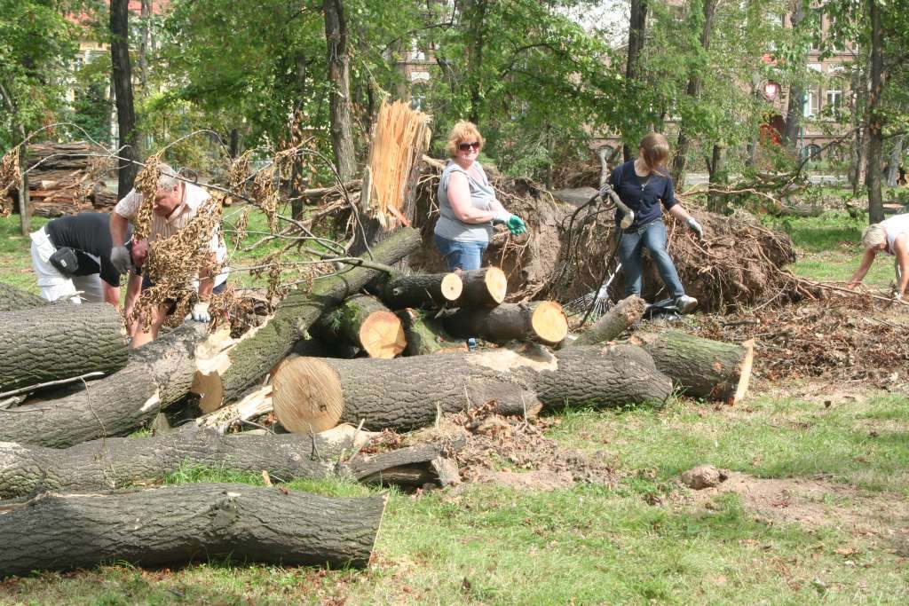 Czyn społeczny w parku