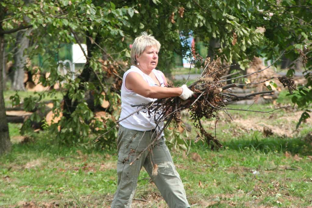 Czyn społeczny w parku