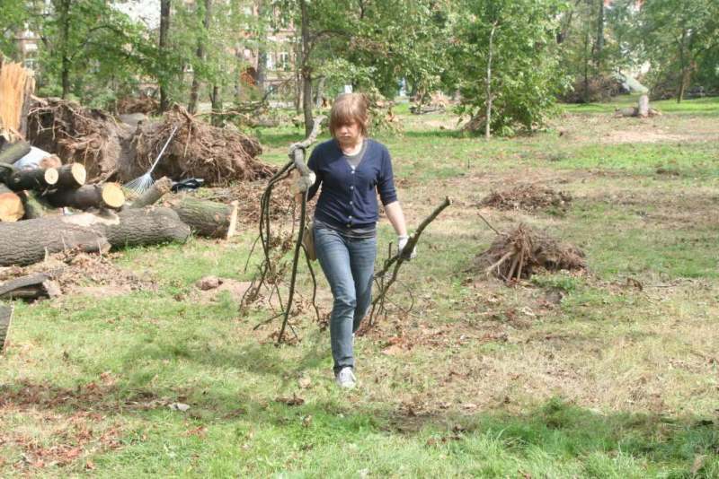 Czyn społeczny w parku