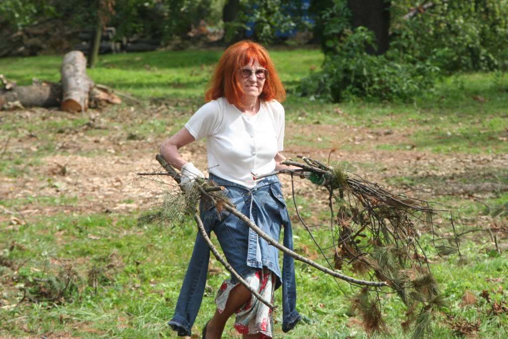 Czyn społeczny w parku