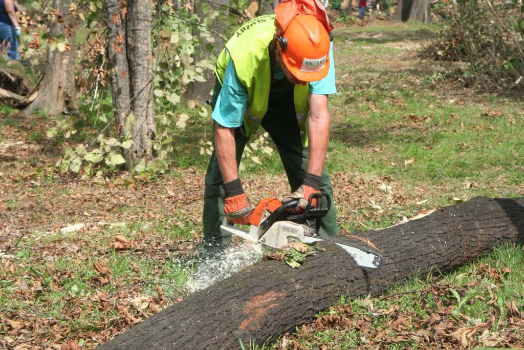 Czyn społeczny w parku