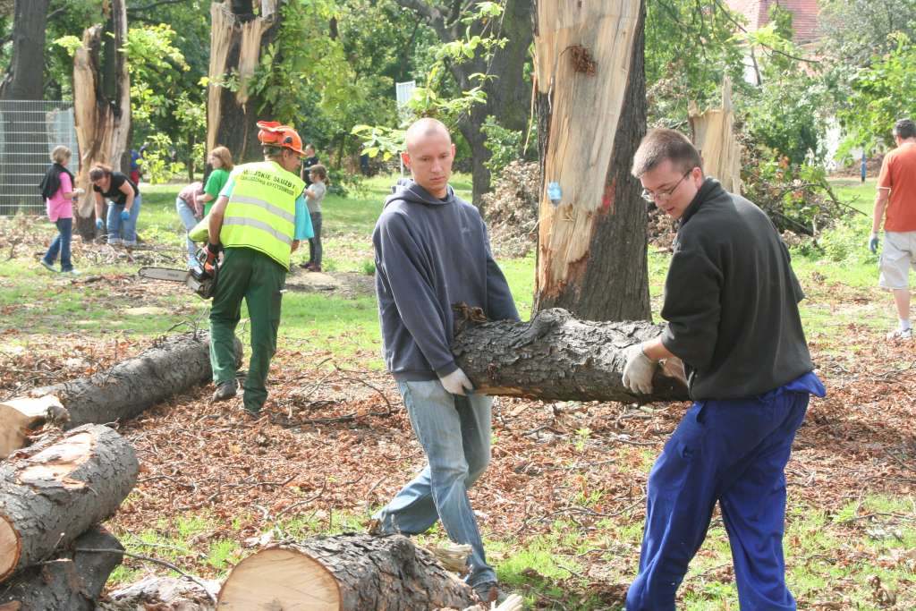 Czyn społeczny w parku