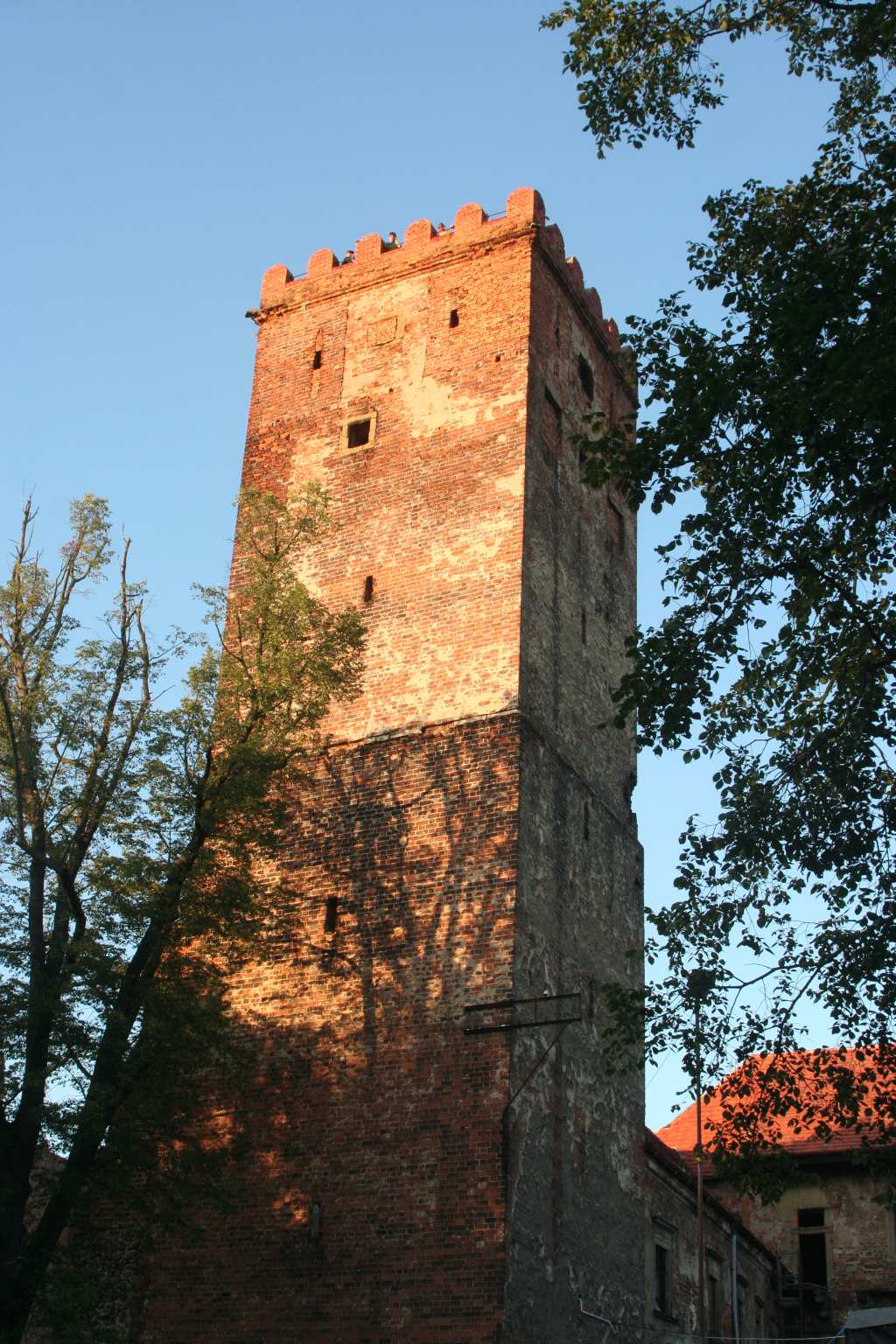 Prochowicka biesiada, niedziela, cz. 1