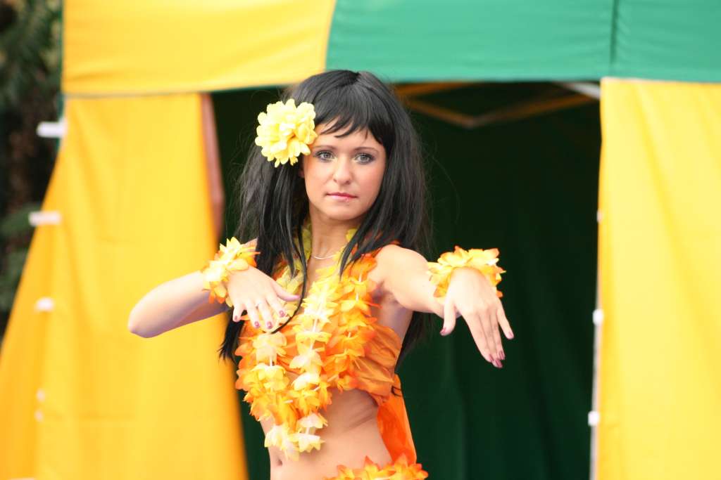 Kormoran Fiesta Tropicana