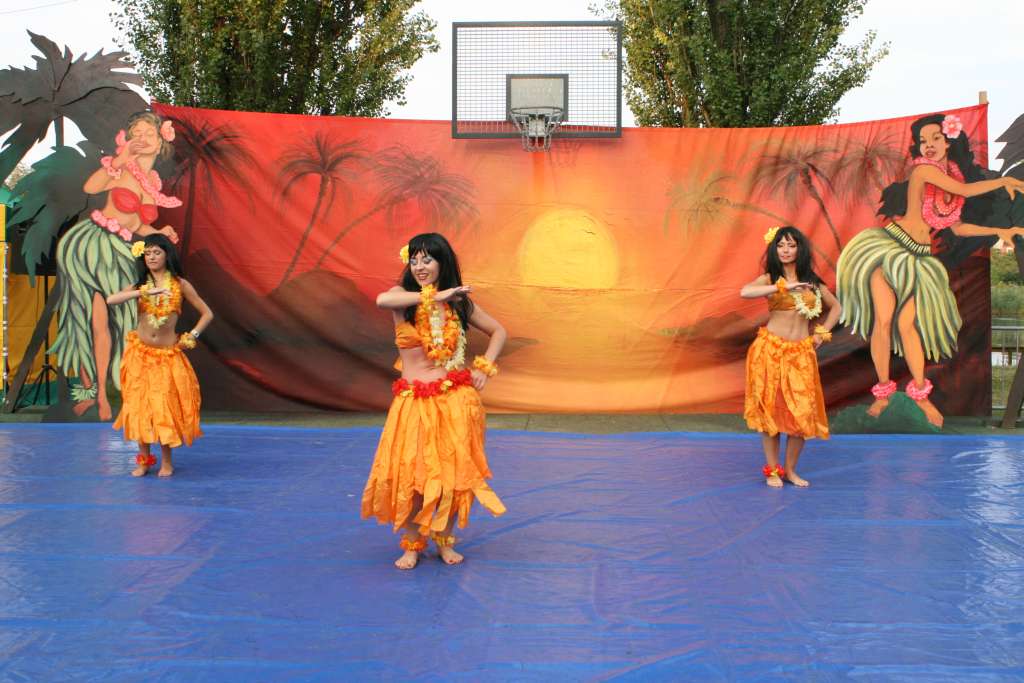 Kormoran Fiesta Tropicana