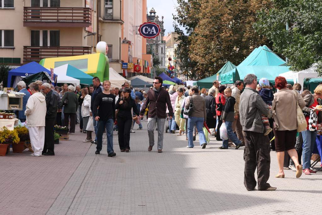 Święto ogórka