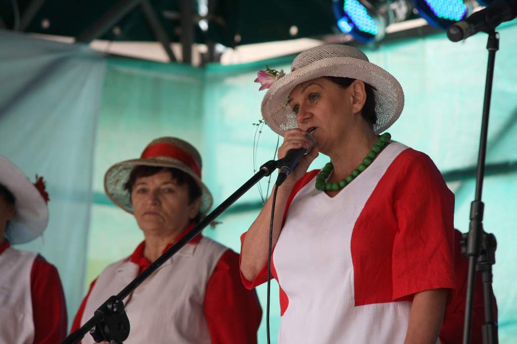 Święto ogórka