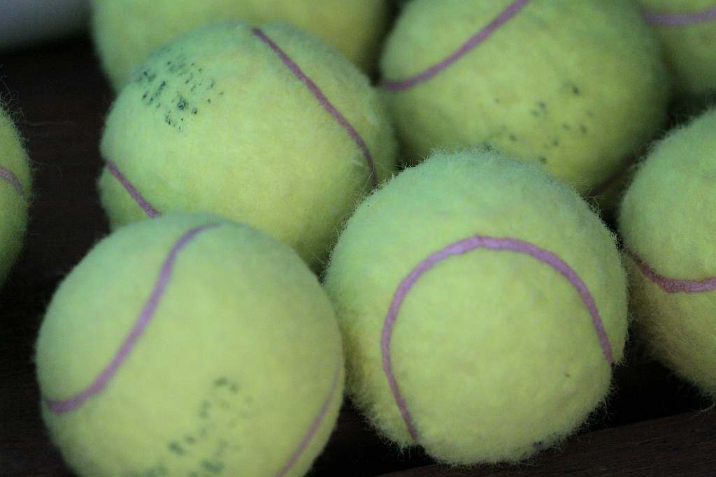 JAREXS CUP 2009 – DZIEŃ TRZECI