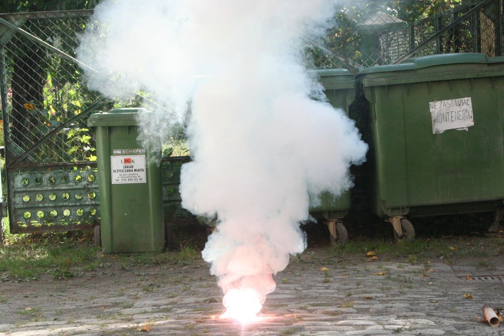 Dolnośląski Festiwal Nauki