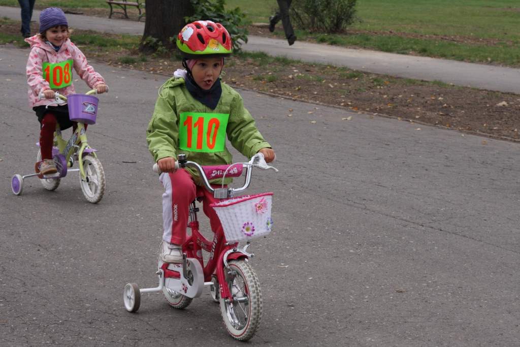 Mistrzostwa MTB