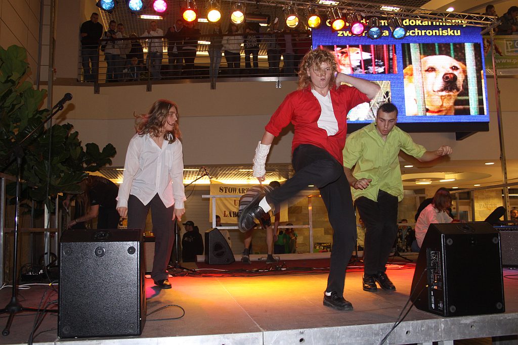 Flop Show (2)