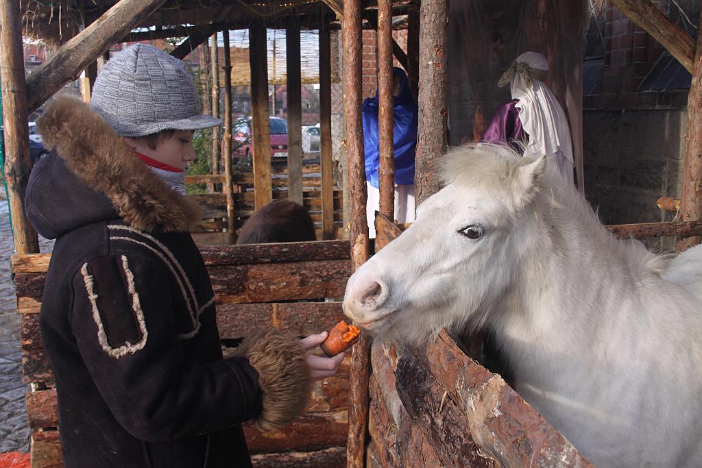 Szopki w legnickich kościołach