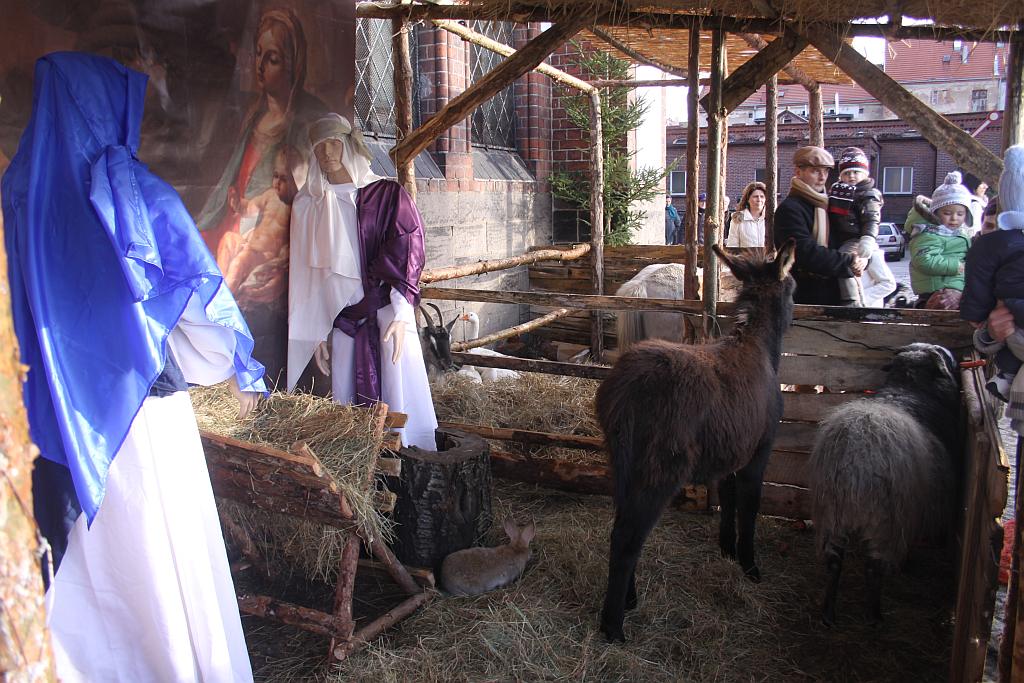 Szopki w legnickich kościołach