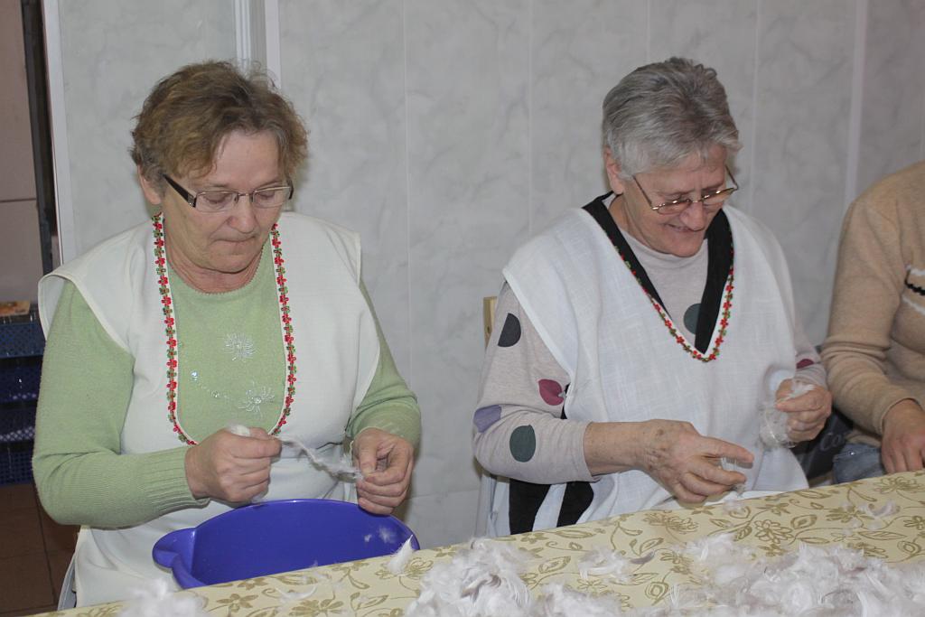 Darli pierze w Krotoszycach