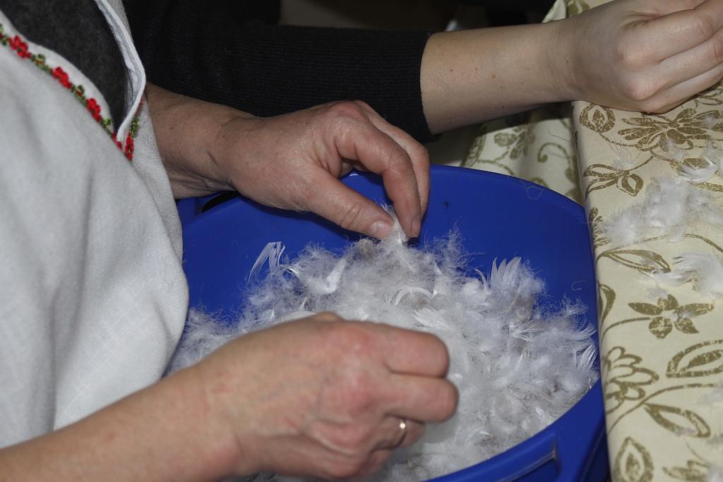 Darli pierze w Krotoszycach