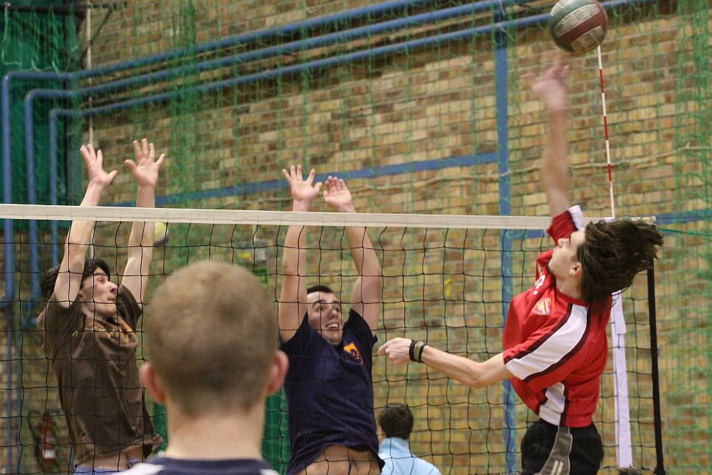 Siatkówka z kwiatkiem