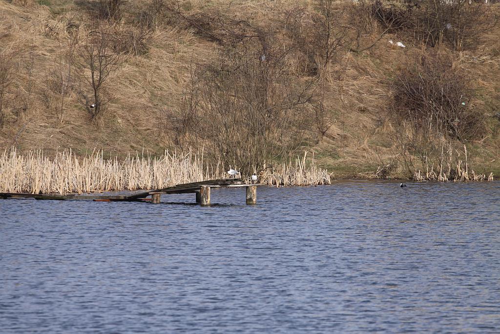 Sprzątanie Glinianek