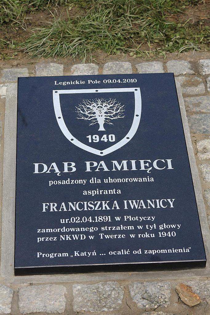 Zasadzili „Dęby Pamięci”