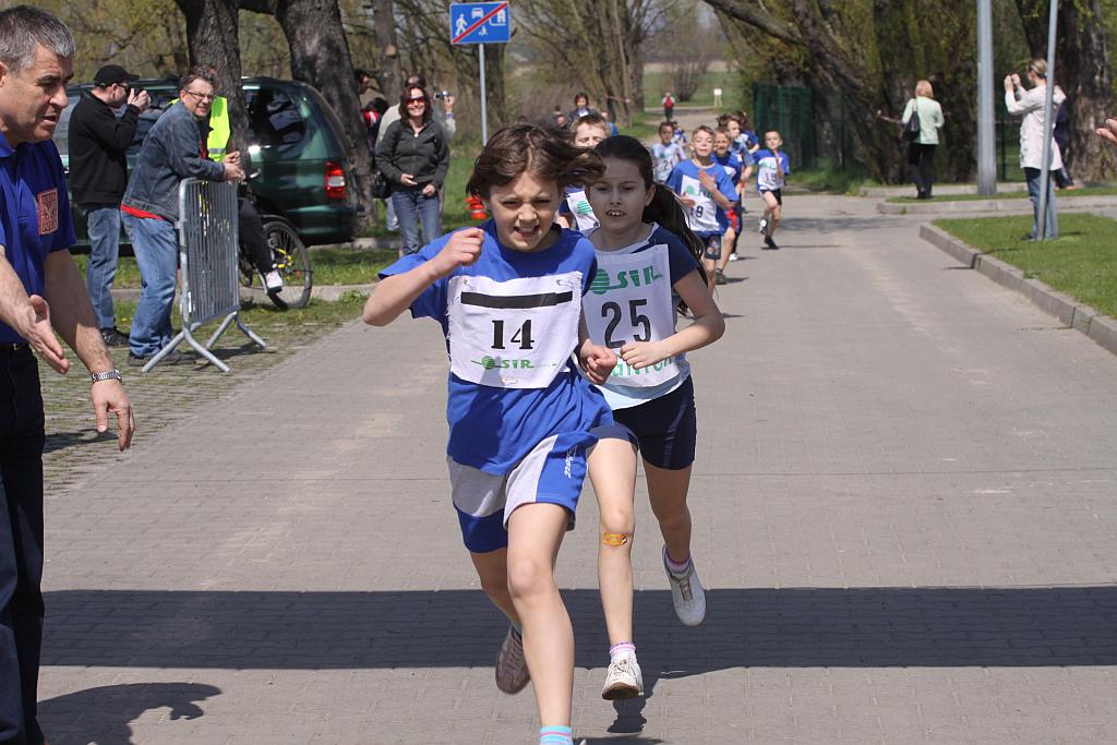 Legnicki Cross Wiosenny