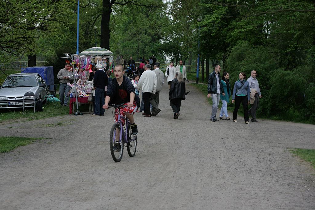Majówka w parku